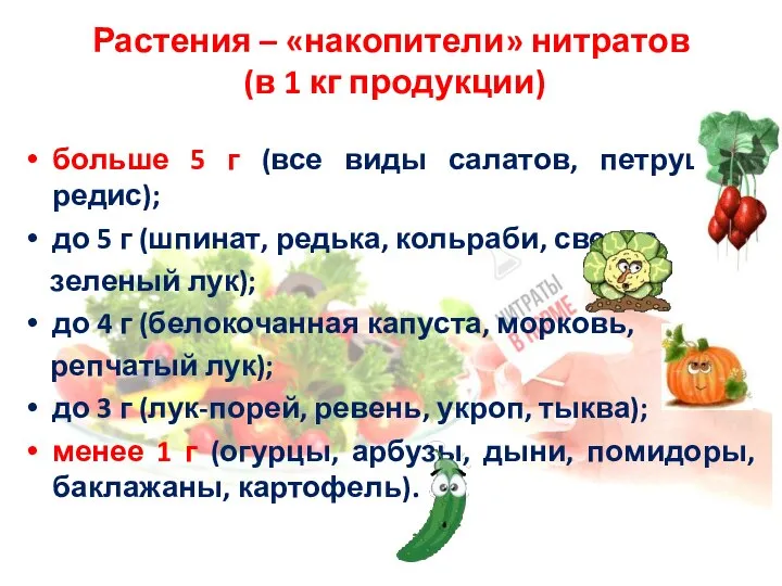 Растения – «накопители» нитратов (в 1 кг продукции) больше 5 г (все