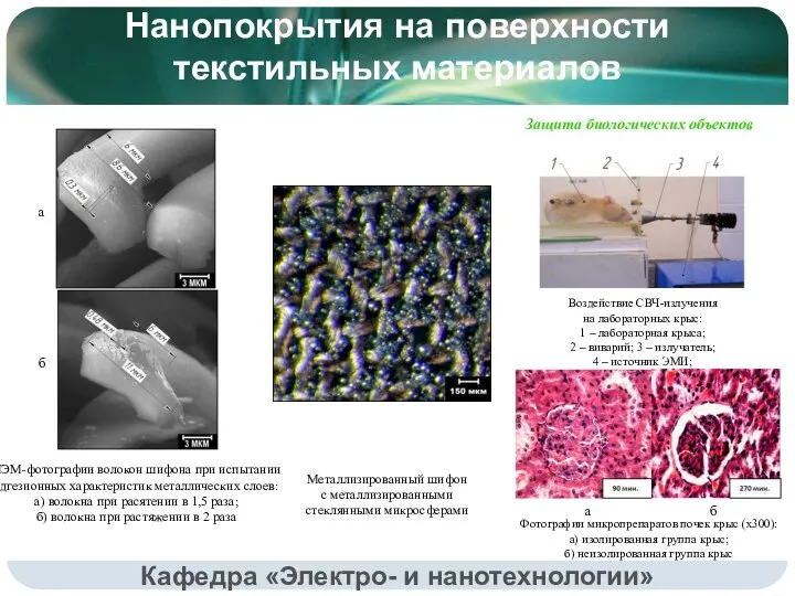 Кафедра «Электро- и нанотехнологии» Воздействие СВЧ-излучения на лабораторных крыс: 1 – лабораторная