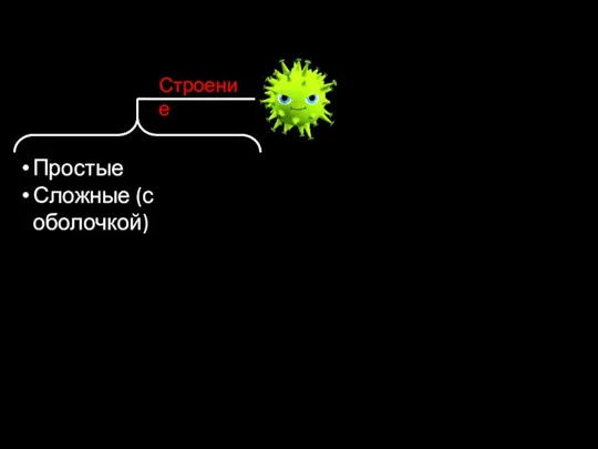 Простые Сложные (с оболочкой) Строение