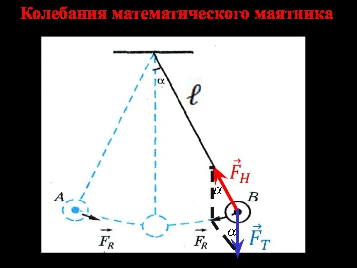 Колебания математического маятника