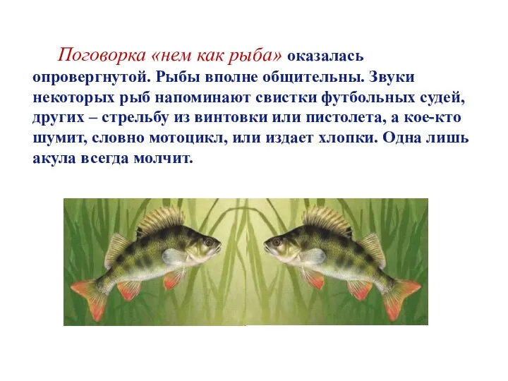 Поговорка «нем как рыба» оказалась опровергнутой. Рыбы вполне общительны. Звуки некоторых рыб