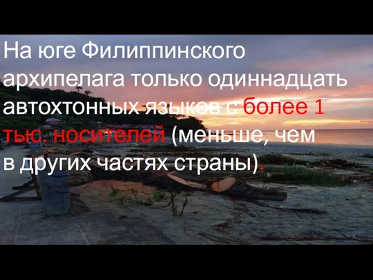 На юге Филиппинского архипелага только одиннадцать автохтонных языков с более 1 тыс.