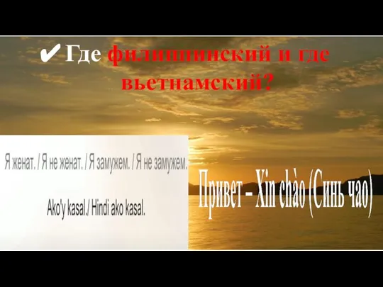 Где филиппинский и где вьетнамский?