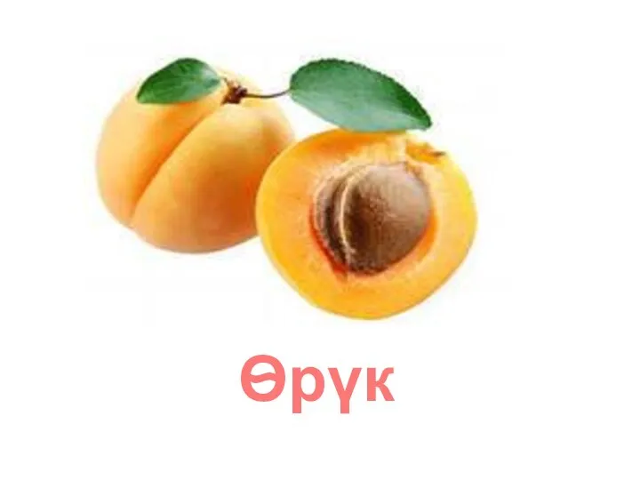 Ѳрүк