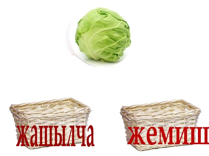 жашылча жемиш