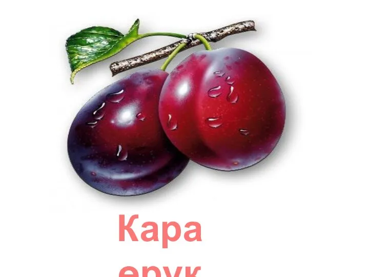 Кара өрүк