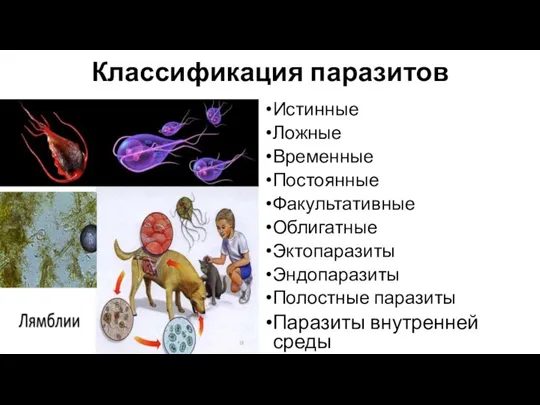 Классификация паразитов Истинные Ложные Временные Постоянные Факультативные Облигатные Эктопаразиты Эндопаразиты Полостные паразиты Паразиты внутренней среды