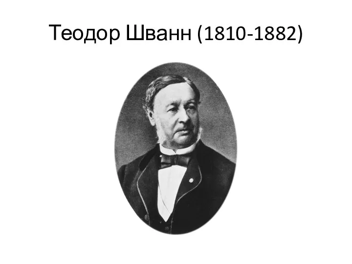 Теодор Шванн (1810-1882)