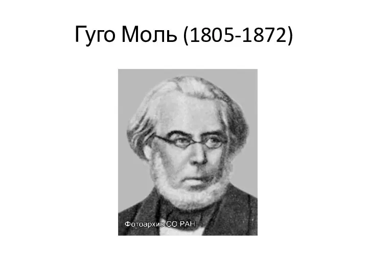 Гуго Моль (1805-1872)