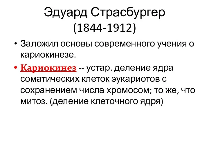 Эдуард Страсбургер (1844-1912) Заложил основы современного учения о кариокинезе. Кариокинез -- устар.