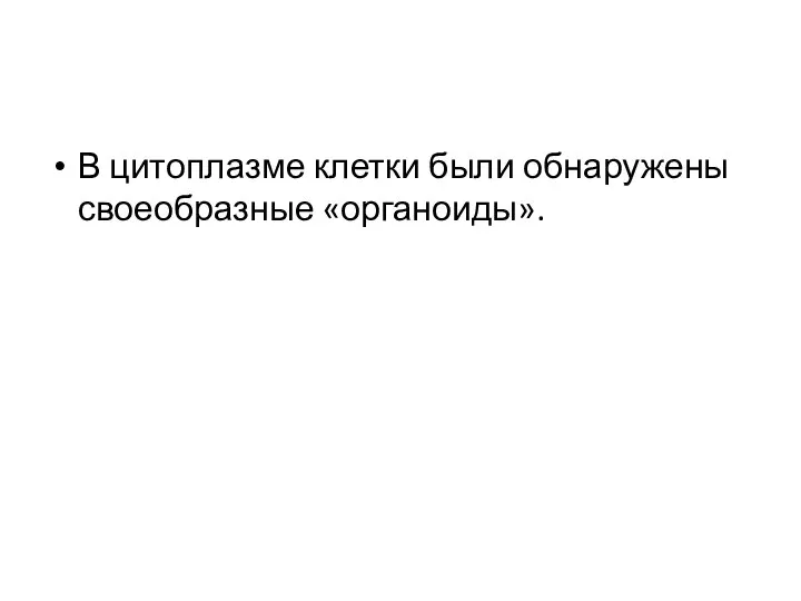 В цитоплазме клетки были обнаружены своеобразные «органоиды».