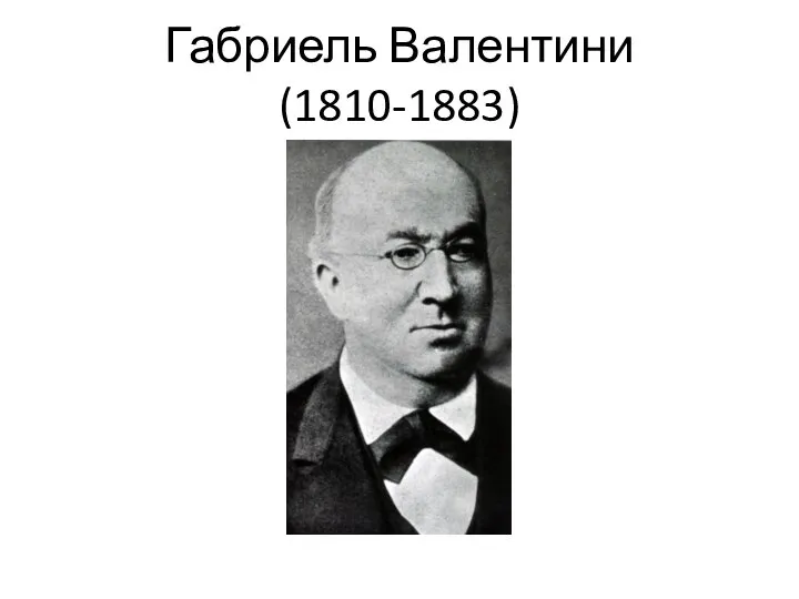 Габриель Валентини (1810-1883)