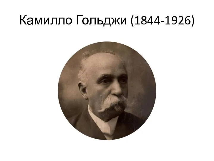 Камилло Гольджи (1844-1926)