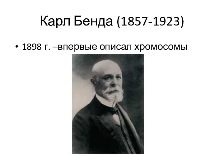 Карл Бенда (1857-1923) 1898 г. –впервые описал хромосомы