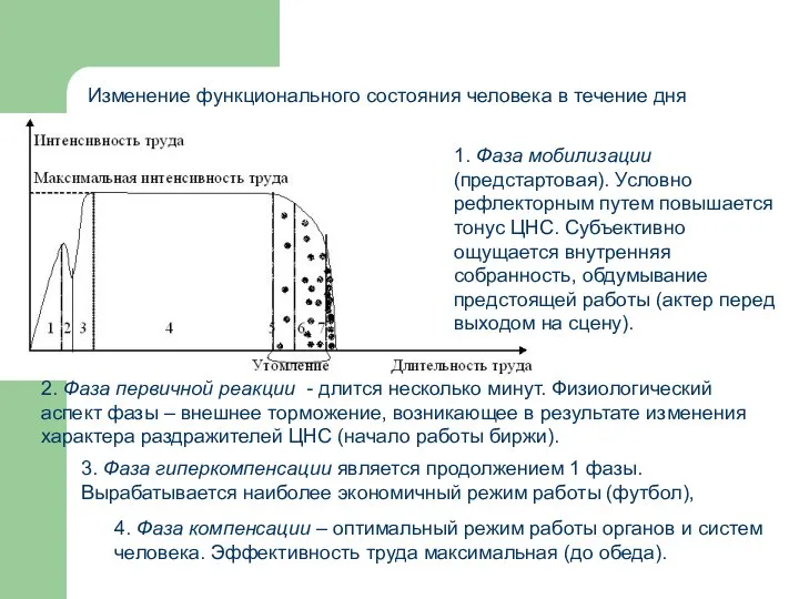 Изменение функционального состояния человека в течение дня 1. Фаза мобилизации (предстартовая). Условно