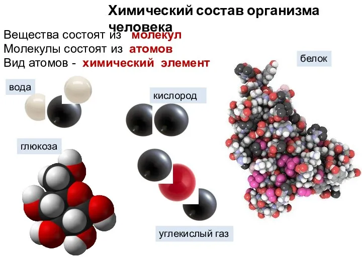 Вещества состоят из молекул Молекулы состоят из атомов Вид атомов - химический