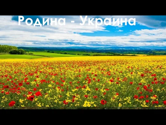 Родина - Украина