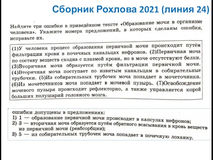 Сборник Рохлова 2021 (линия 24)