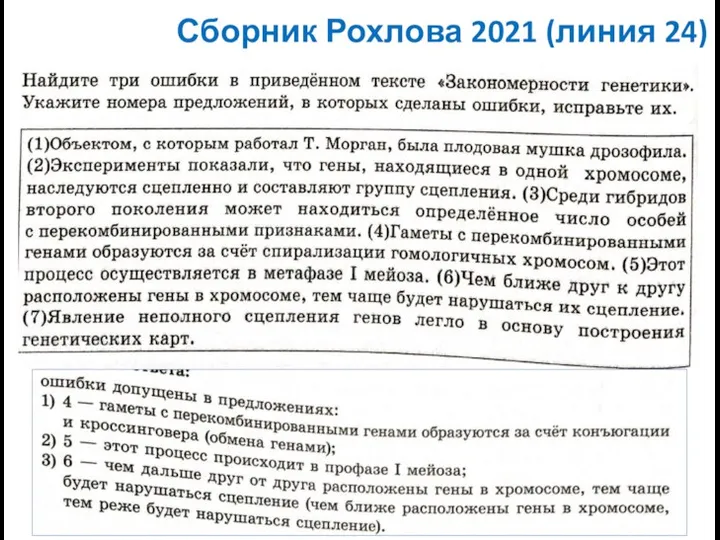 Сборник Рохлова 2021 (линия 24)