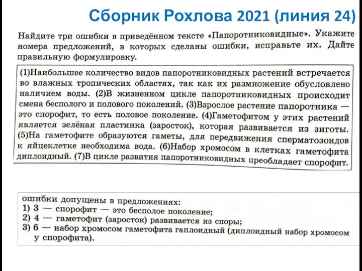 Сборник Рохлова 2021 (линия 24)