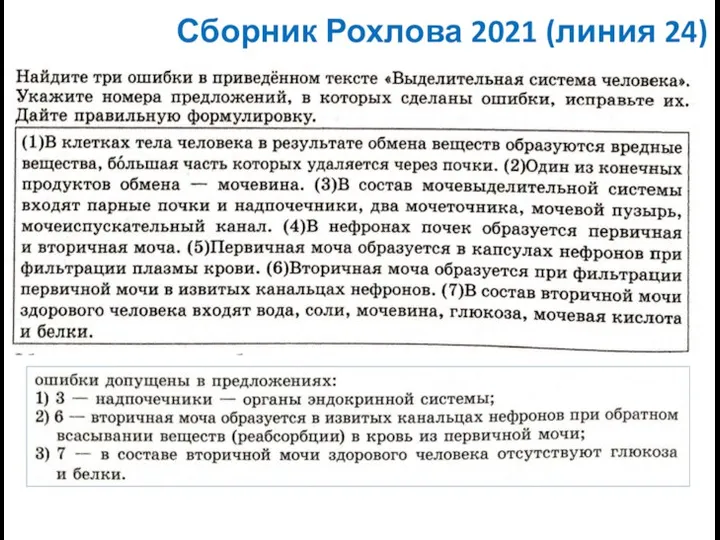 Сборник Рохлова 2021 (линия 24)