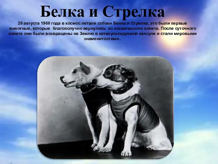 Белка и Стрелка 20 августа 1960 года в космос летали собаки Белка