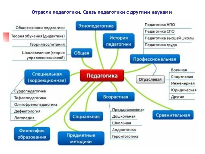 Отрасли педагогики. Связь педагогики с другими науками