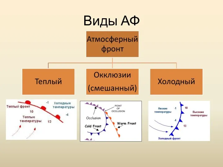 Виды АФ