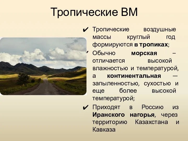 Тропические воздушные массы круглый год формируются в тропиках; Обычно морская – отличается