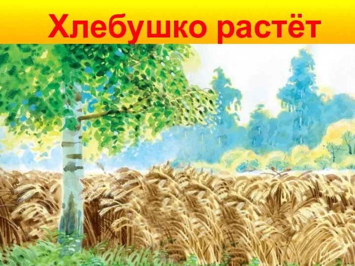 Хлебушко растёт