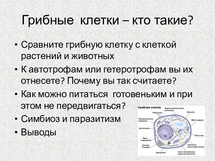 Грибные клетки – кто такие? Сравните грибную клетку с клеткой растений и