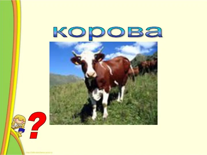 ? Н = В корова