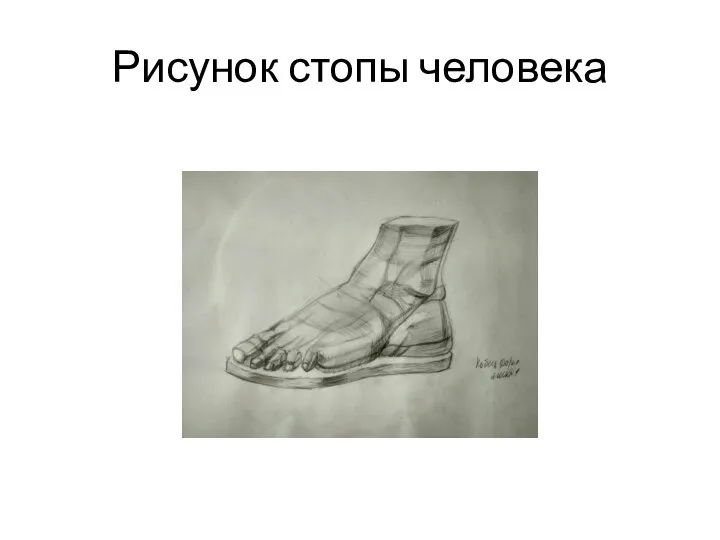 Рисунок стопы человека