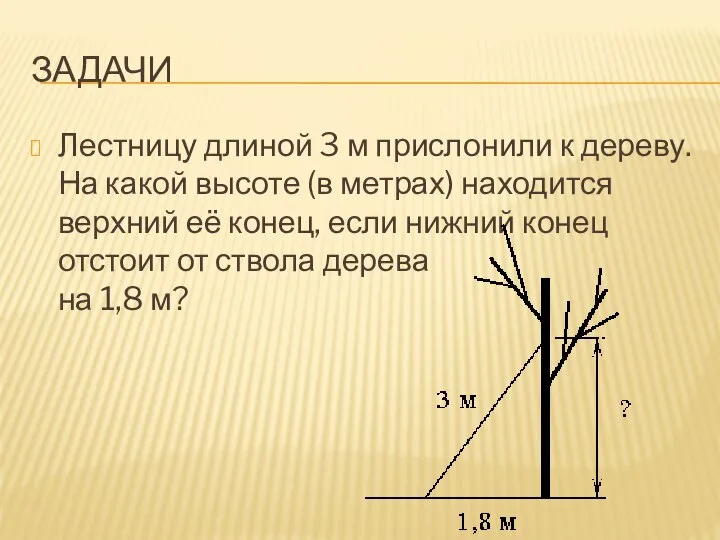 ЗАДАЧИ Лестницу длиной 3 м прислонили к дереву. На какой высоте (в