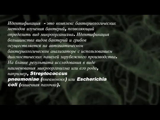 Идентификация - это комплекс бактериологических методов изучения бактерий, позволяющий определить вид микроорганизма.