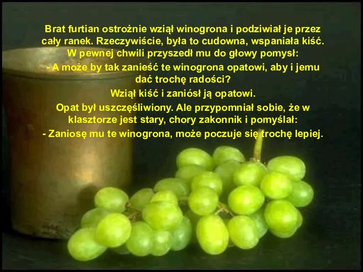 Brat furtian ostrożnie wziął winogrona i podziwiał je przez cały ranek. Rzeczywiście,