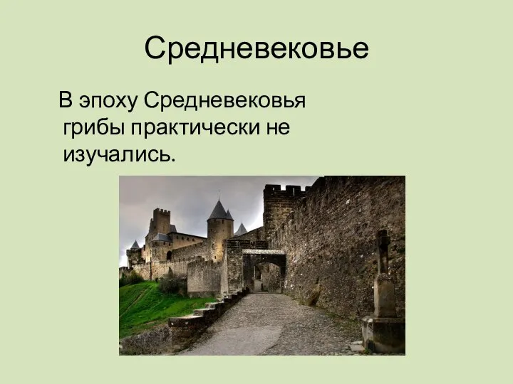 Средневековье В эпоху Средневековья грибы практически не изучались.