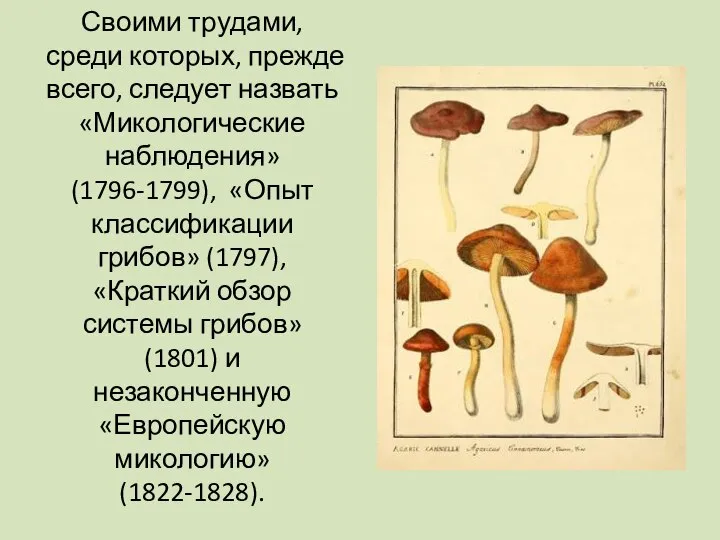 Своими трудами, среди которых, прежде всего, следует назвать «Микологические наблюдения» (1796-1799), «Опыт