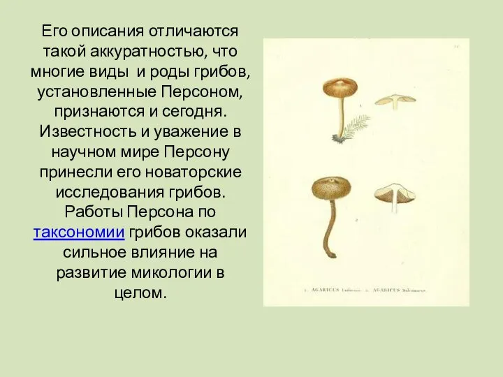 Его описания отличаются такой аккуратностью, что многие виды и роды грибов, установленные