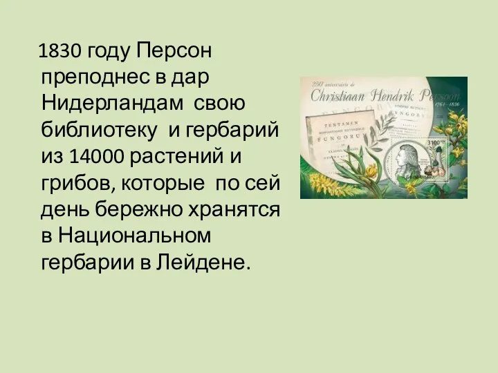 1830 году Персон преподнес в дар Нидерландам свою библиотеку и гербарий из