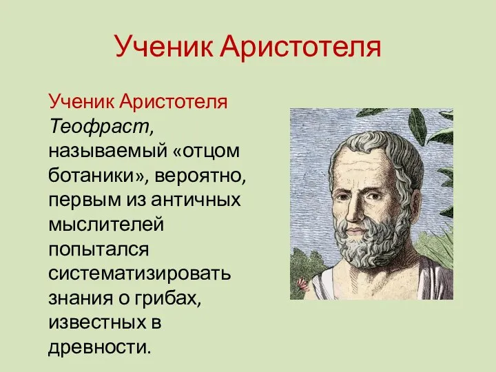 Ученик Аристотеля Ученик Аристотеля Теофраст, называемый «отцом ботаники», вероятно, первым из античных