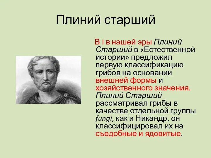 Плиний старший В I в нашей эры Плиний Старший в «Естественной истории»