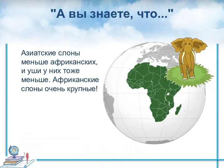 "А вы знаете, что..." Азиатские слоны меньше африканских, и уши у них