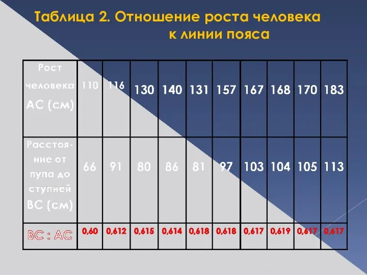Таблица 2. Отношение роста человека к линии пояса