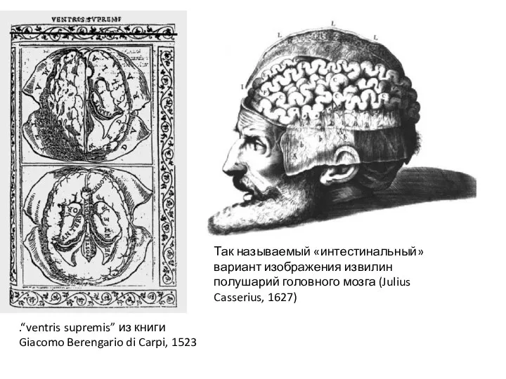 .“ventris supremis” из книги Giacomo Berengario di Carpi, 1523 Так называемый «интестинальный»