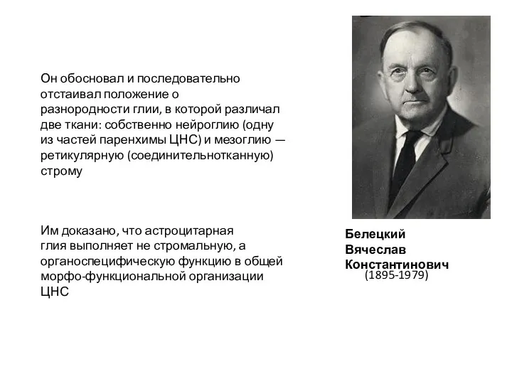 Белецкий Вячеслав Константинович (1895-1979) Он обосновал и последовательно отстаивал положение о разнородности