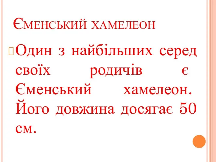 Єменський хамелеон Один з найбільших серед своїх родичів є Єменський хамелеон. Його довжина досягає 50 см.