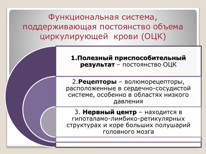 Функциональная система, поддерживающая постоянство объема циркулирующей крови (ОЦК)