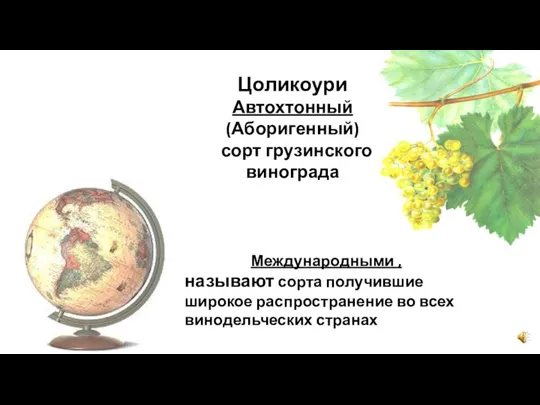 Цоликоури Автохтонный (Аборигенный) сорт грузинского винограда Международными , называют сорта получившие широкое