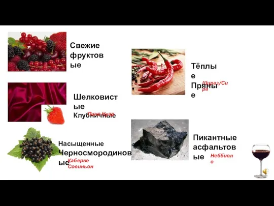 Свежие фруктовые Шелковистые Клубничные Насыщенные Черносмородиновые Каберне Совиньон Пино Нуар Шираз/Сира Тёплые Пряные Пикантные асфальтовые Неббиоло